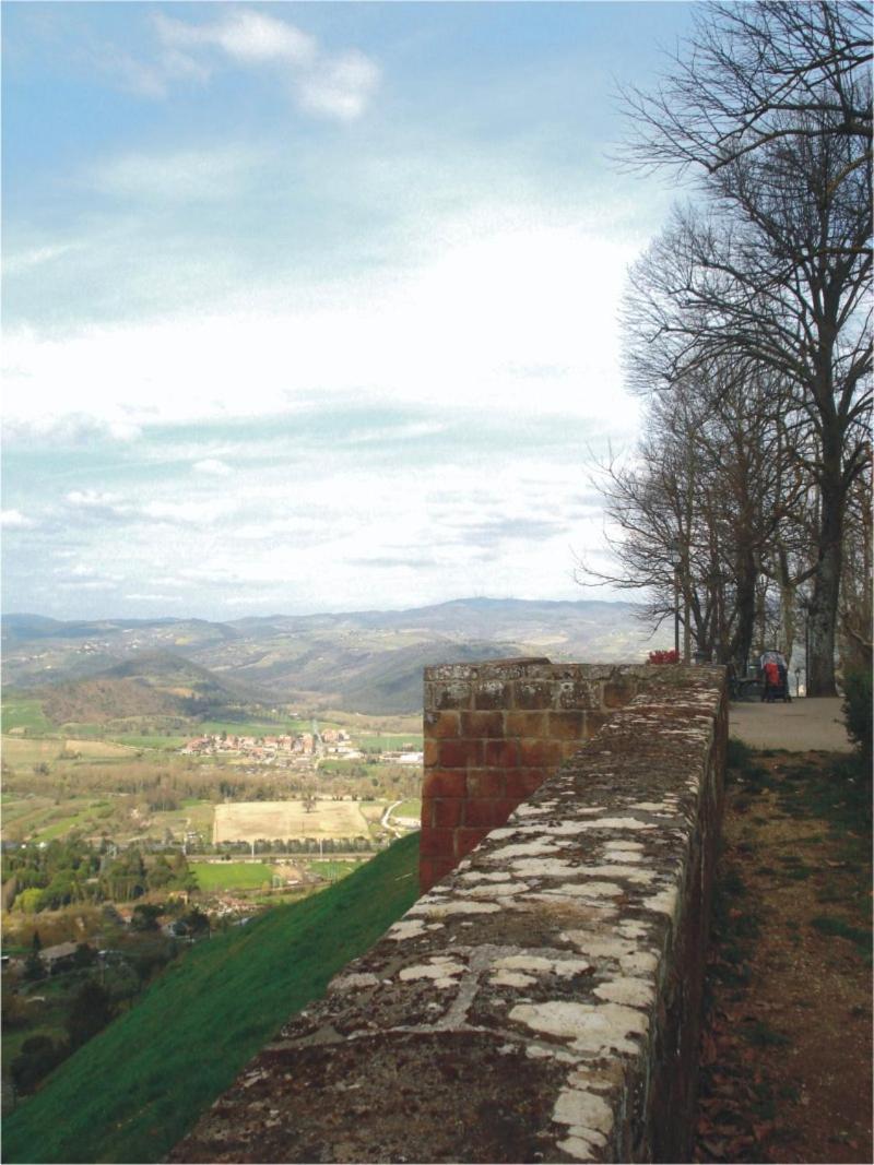 Porta Vivaria Orvieto- Private Parking מראה חיצוני תמונה
